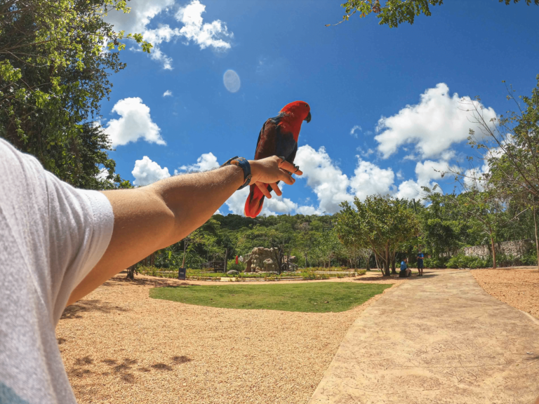 Turista disfruta de Faunaland en Scape Park Dominican Republic