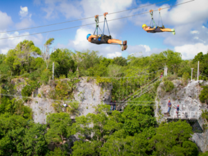 Zip Line Scape Park